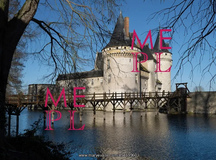 : Chateau de Sully-sur-Loire : Chateau de Sully-sur-Loire