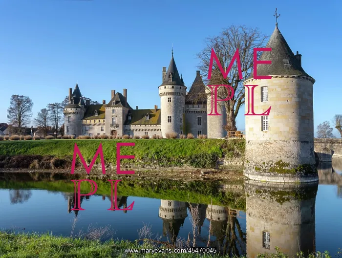 : Chateau de Sully-sur-Loire : Chateau de Sully-sur-Loire