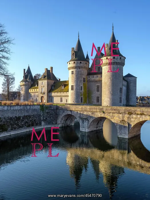 : Chateau de Sully-sur-Loire : Chateau de Sully-sur-Loire