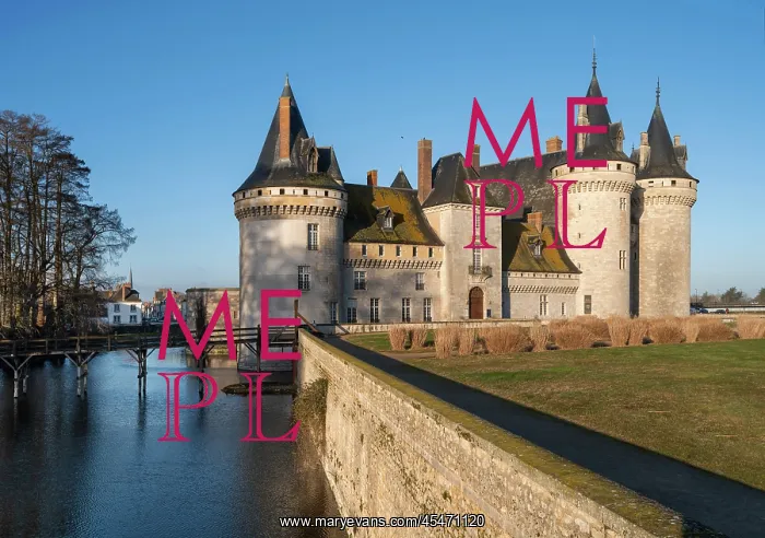 : Chateau de Sully-sur-Loire : Chateau de Sully-sur-Loire