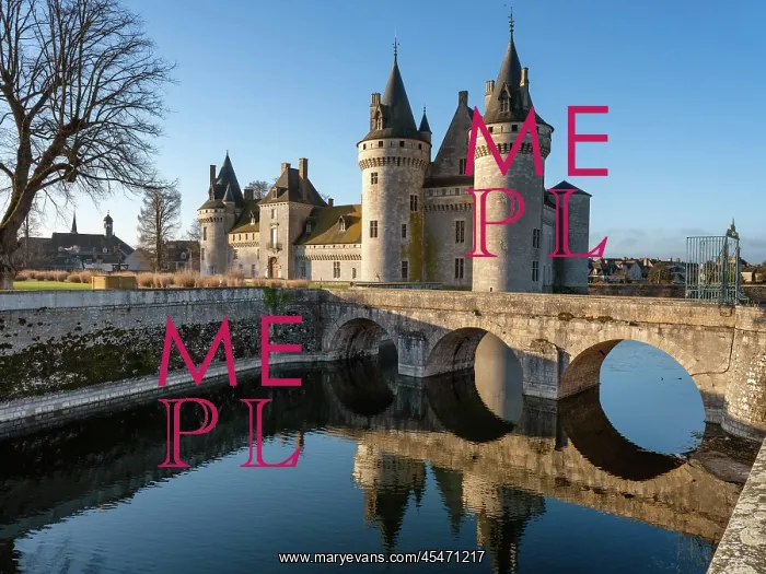 : Chateau de Sully-sur-Loire : Chateau de Sully-sur-Loire