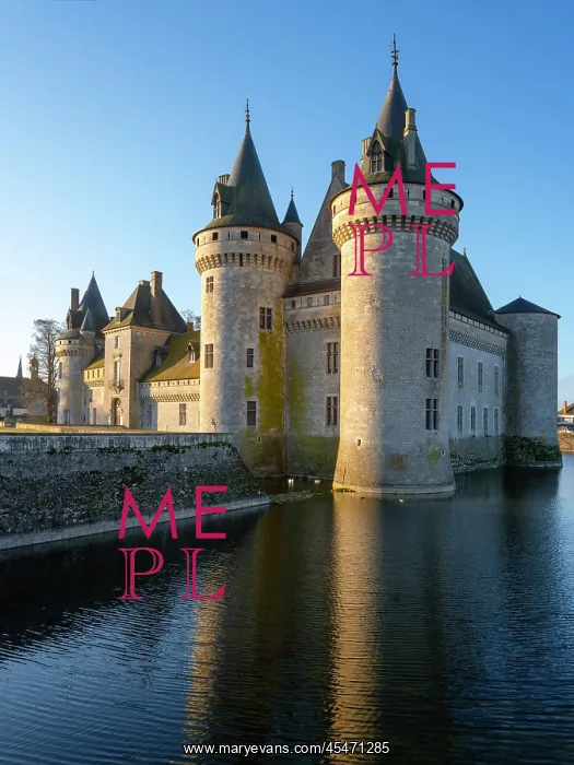: Chateau de Sully-sur-Loire : Chateau de Sully-sur-Loire