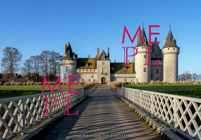 : Chateau de Sully-sur-Loire : Chateau de Sully-sur-Loire