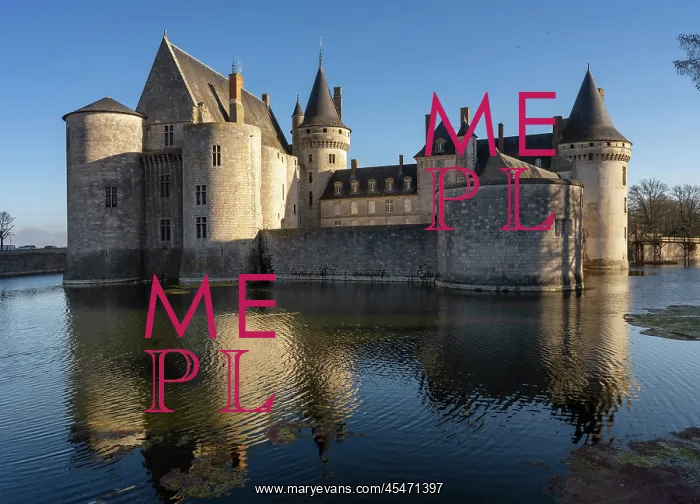 : Chateau de Sully-sur-Loire : Chateau de Sully-sur-Loire
