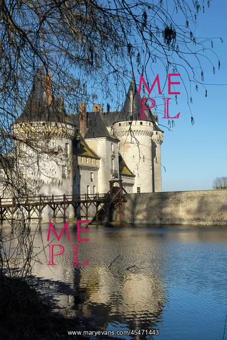 : Chateau de Sully-sur-Loire : Chateau de Sully-sur-Loire