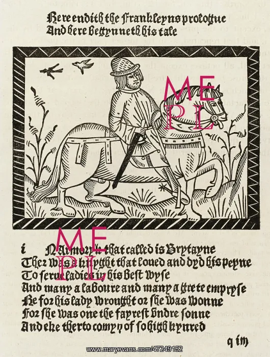 : CHAUCER, THE FRANKLIN : CHAUCER, THE FRANKLIN