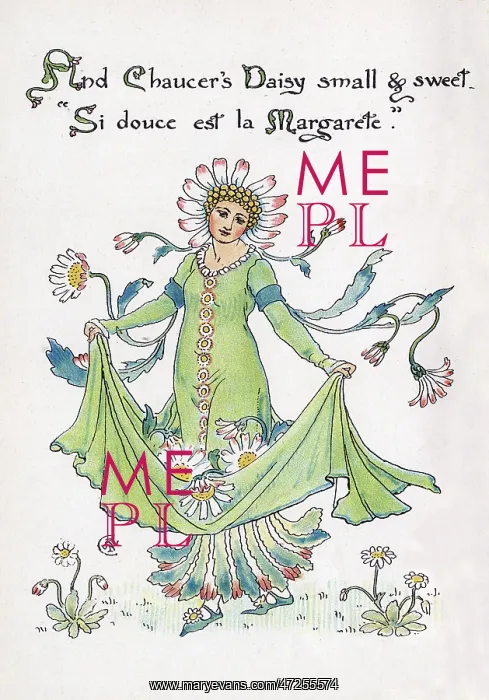 : Chaucer's Daisy : Chaucer's Daisy