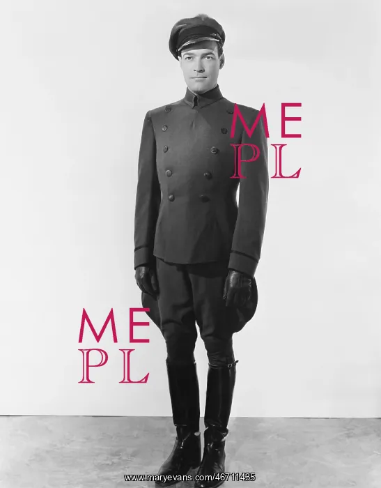 : Chauffeur in uniform : Chauffeur in uniform