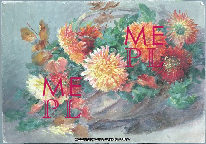 : Chaysanthemums'. Flowers : Chaysanthemums'. Flowers