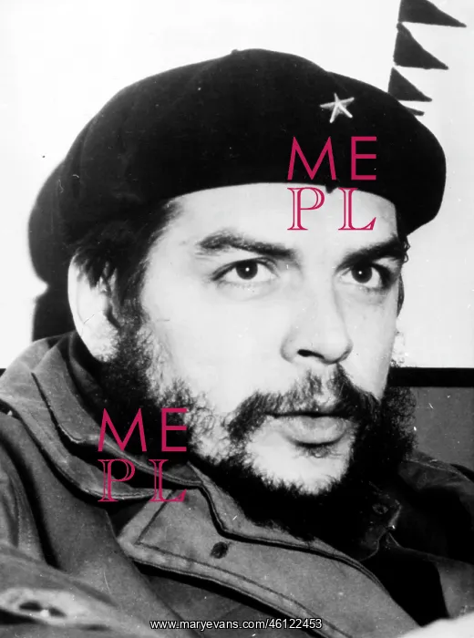 : Che Guevara, revolutionary leader : Che Guevara, revolutionary leader