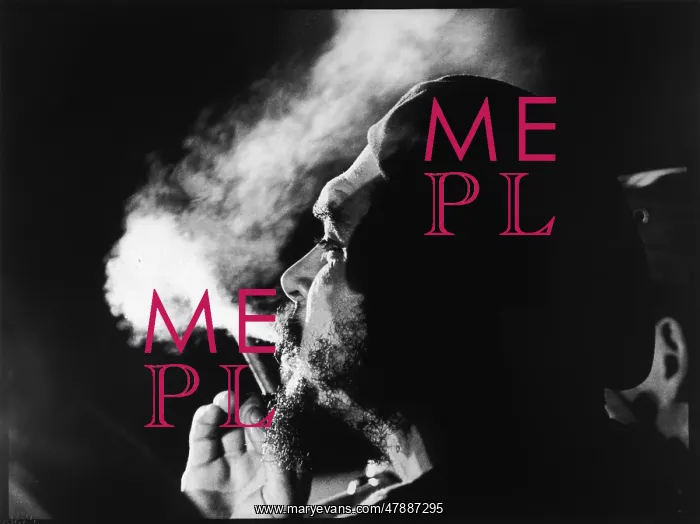 : CHE GUEVARA / SMOKING : CHE GUEVARA / SMOKING