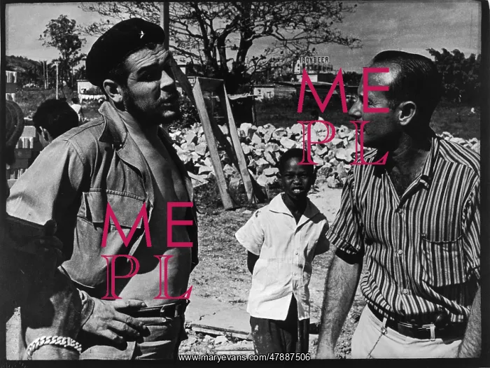 : CHE GUEVARA / SUNDAY : CHE GUEVARA / SUNDAY