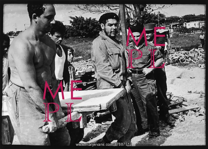 : CHE GUEVARA / SUNDAY : CHE GUEVARA / SUNDAY