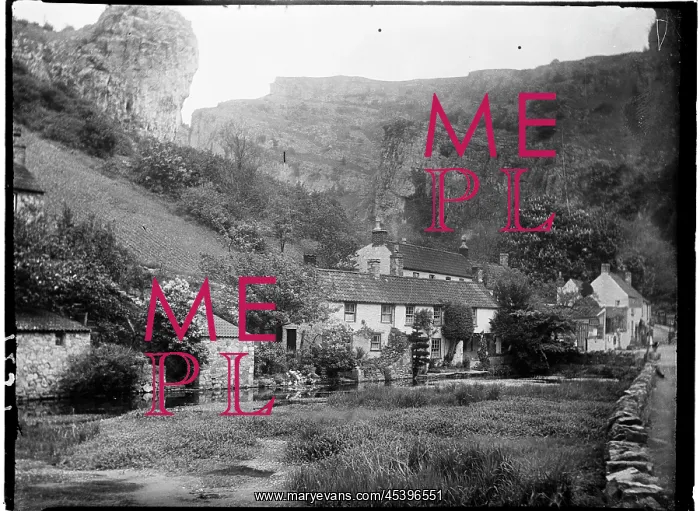 : CHEDDAR, SEDGEMOOR, SOMERSET : CHEDDAR, SEDGEMOOR, SOMERSET