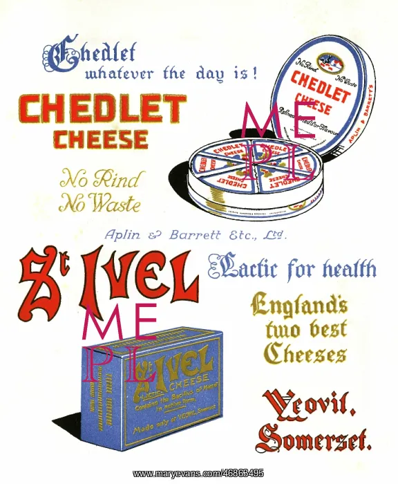 : Chedlet and St Ivel cheese advertisement : Chedlet and St Ivel cheese advertisement