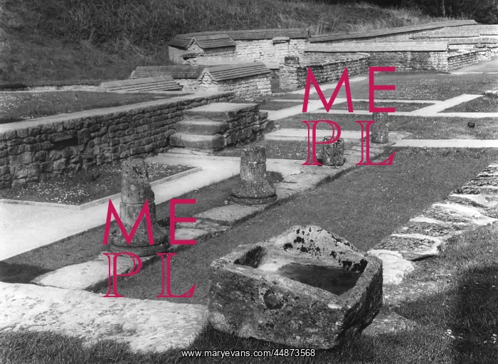 : Chedworth Roman villa : Chedworth Roman villa