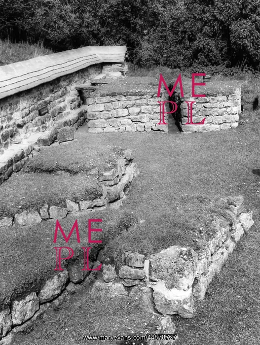 : Chedworth Roman villa remains : Chedworth Roman villa remains