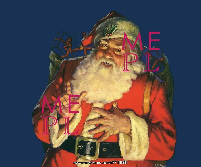  : Cheerful Santa