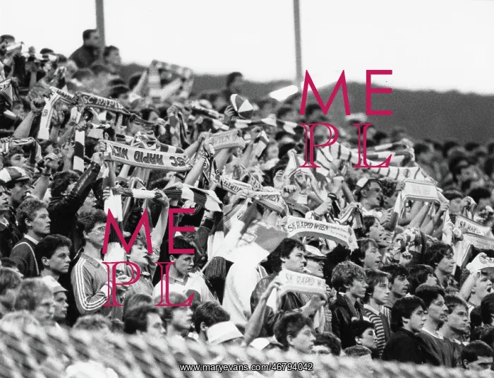 : Cheering rapid fans at the soccer cup final match : Cheering rapid fans at the soccer cup final match