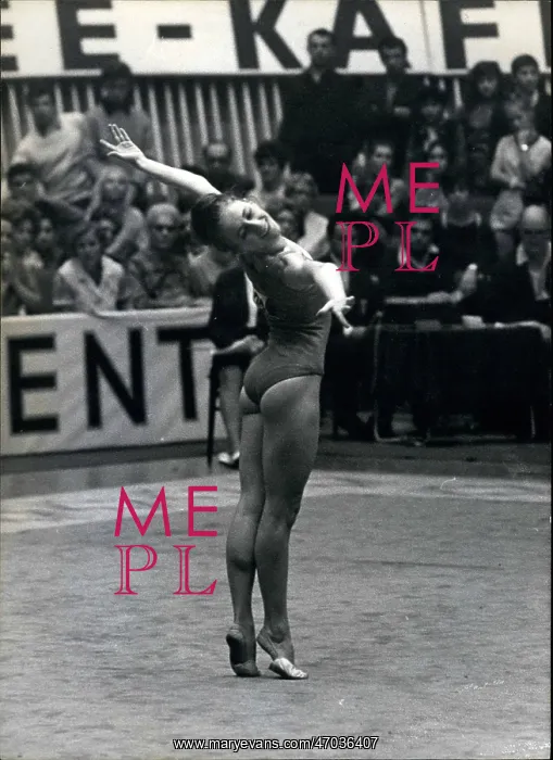 : Cheerleading - Gymnastics : Cheerleading - Gymnastics
