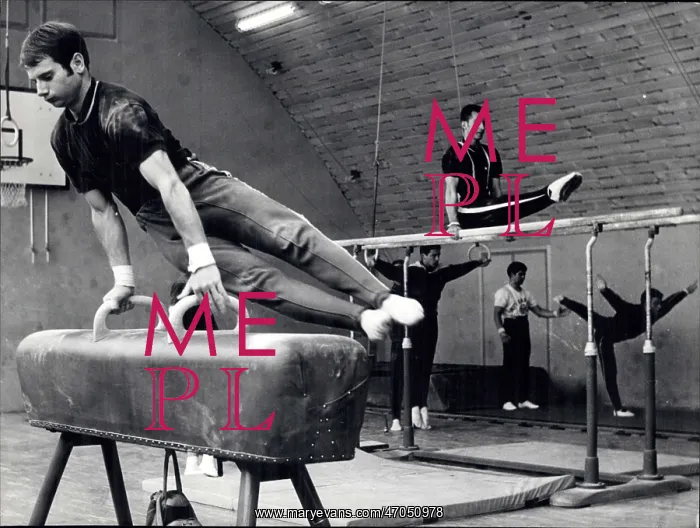 : Cheerleading - Gymnastics : Cheerleading - Gymnastics