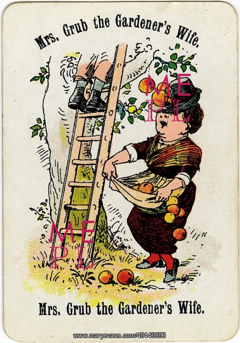 : Cheery Families - Mrs Grub the Gardener's Wife : Cheery Families - Mrs Grub the Gardener's Wife