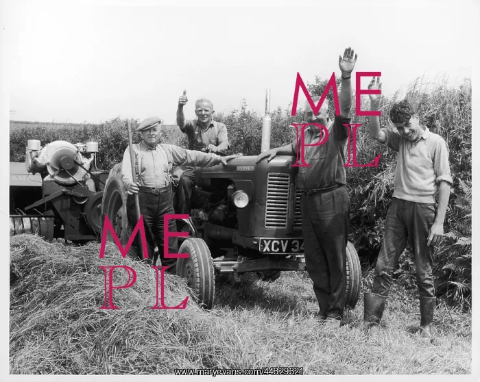  : CHEERY FARMWORKERS