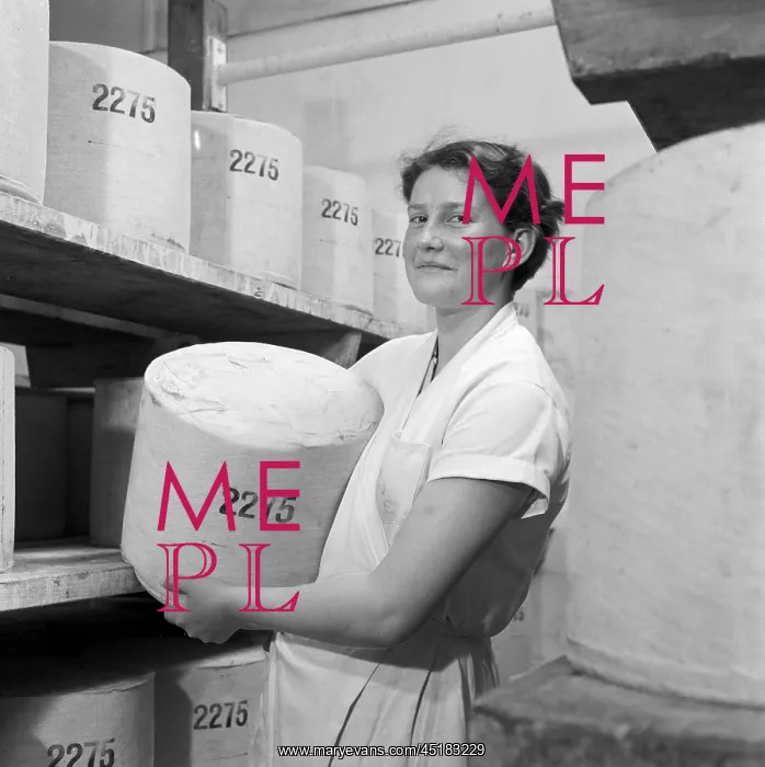 : Cheese Making : Cheese Making