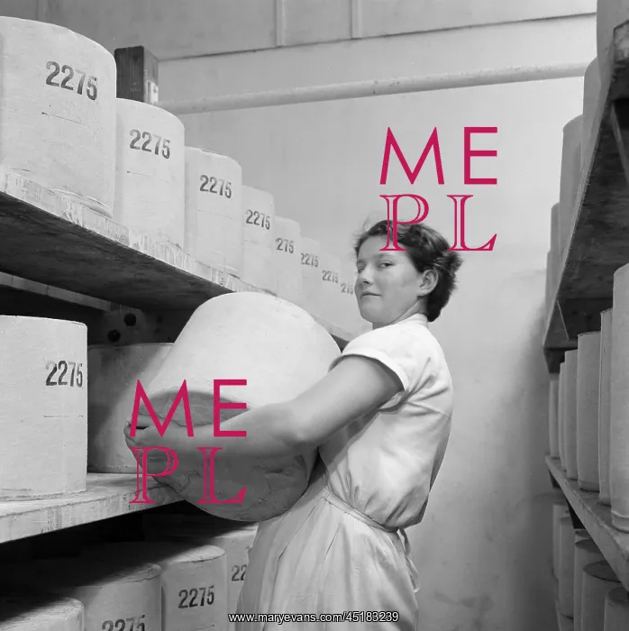 : Cheese Making : Cheese Making