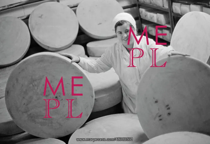 : Cheese-making plant in Biysk : Cheese-making plant in Biysk