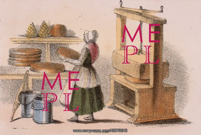 : Cheese making: removing a cheese from the press : Cheese making: removing a cheese from the press