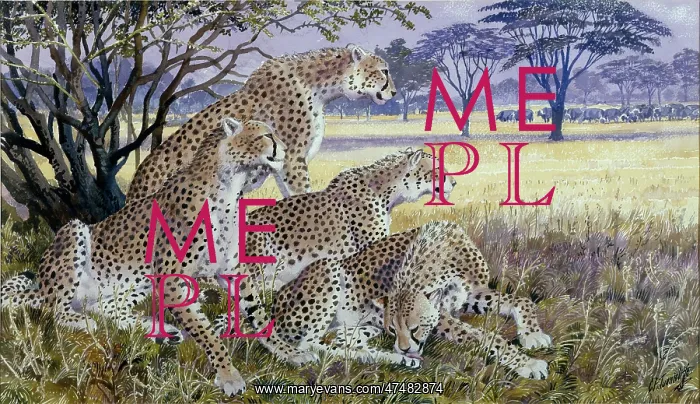 : Cheetah Family on an African Plain : Cheetah Family on an African Plain