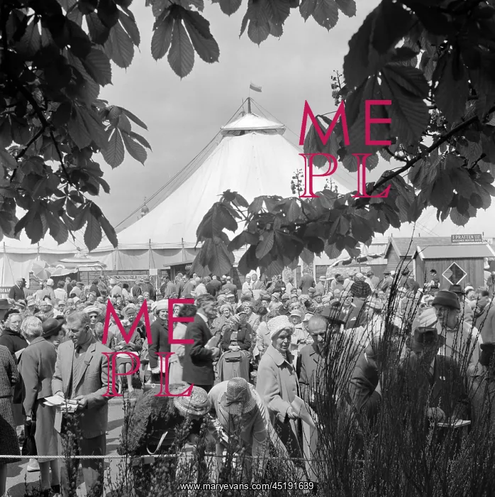 : Chelsea Flower Show 1960 : Chelsea Flower Show 1960