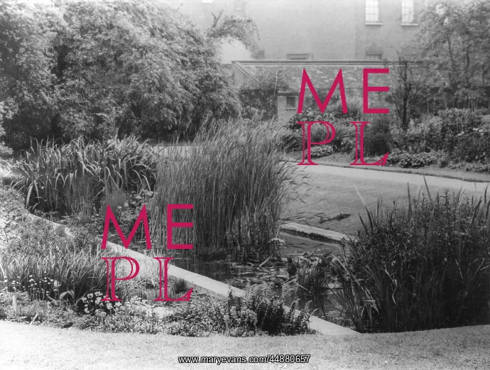 : CHELSEA PHYSIC GARDENS : CHELSEA PHYSIC GARDENS