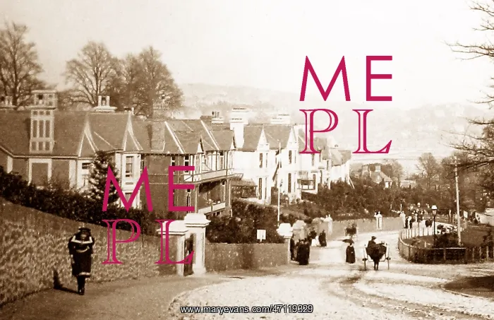  : Chelston