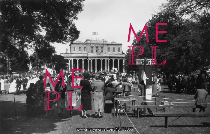 : Cheltenham Dog Show : Cheltenham Dog Show