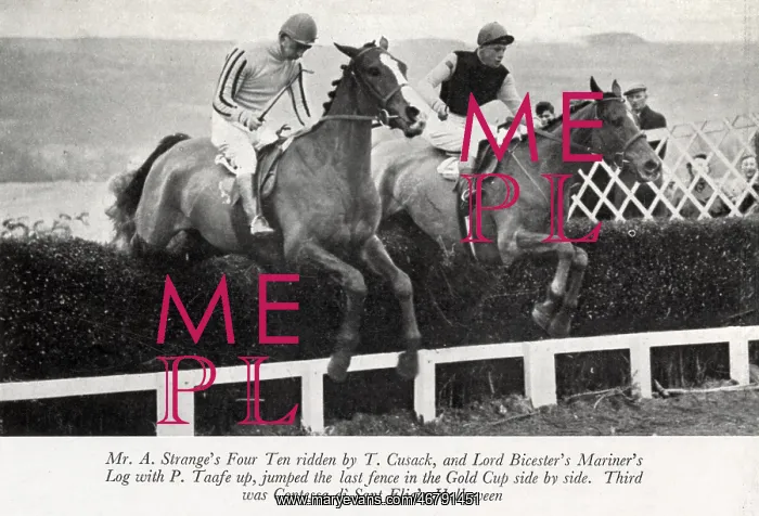 : Cheltenham Gold Cup, Four Ten and Mariner's Log : Cheltenham Gold Cup, Four Ten and Mariner's Log