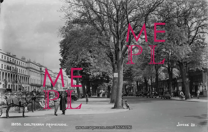 : Cheltenham Promenade : Cheltenham Promenade