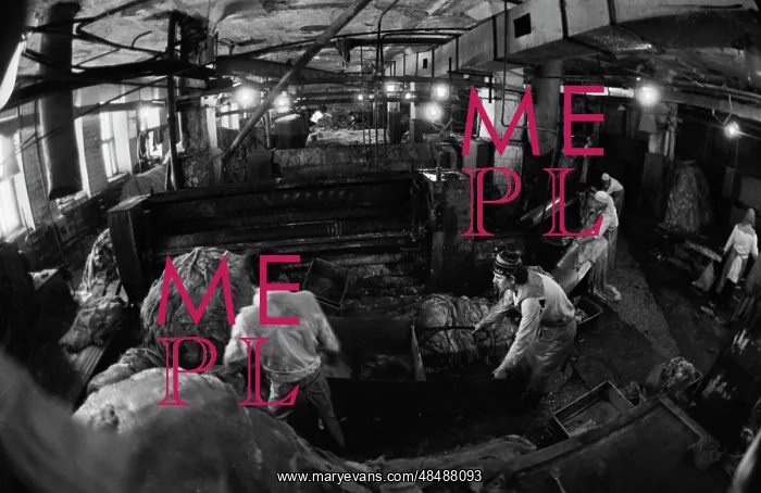 : Chelyabinsk Meat Complex : Chelyabinsk Meat Complex