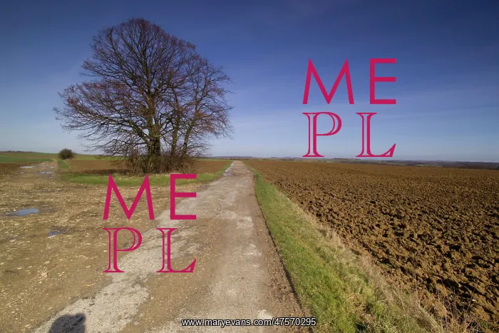 : Chemin des Dames : Chemin des Dames