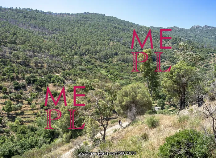 : Chemin Walter Benjamin, Catalonia, Spain : Chemin Walter Benjamin, Catalonia, Spain