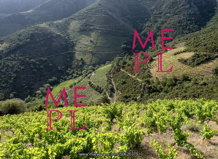 : Chemin Walter Benjamin, Pyrenees-Orientales, France : Chemin Walter Benjamin, Pyrenees-Orientales, France