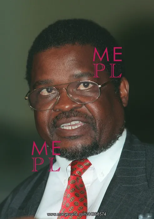  : Chen Chimutengwende