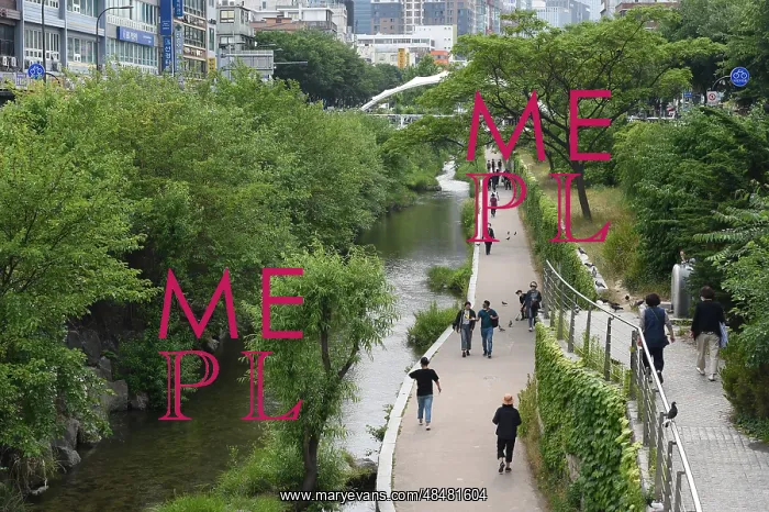 : Cheonggyecheon river reclamation and landscape : Cheonggyecheon river reclamation and landscape