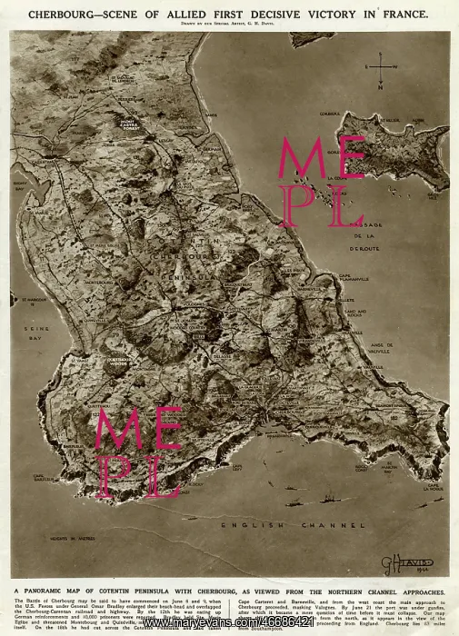 : Cherbourg, scene of victory, by G. H. Davis : Cherbourg, scene of victory, by G. H. Davis