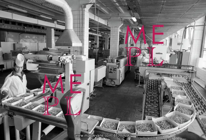 : Cheremushki Confectionery Factory : Cheremushki Confectionery Factory