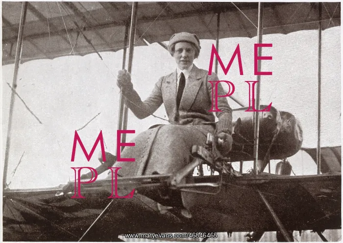 : Cheridah de Beauvoir Stocks : Cheridah de Beauvoir Stocks