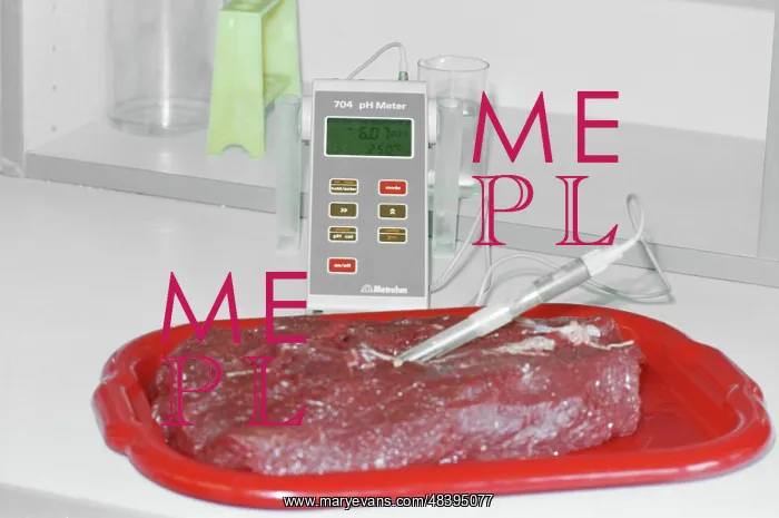 : Cherkizovsky Meat Processing Plant : Cherkizovsky Meat Processing Plant