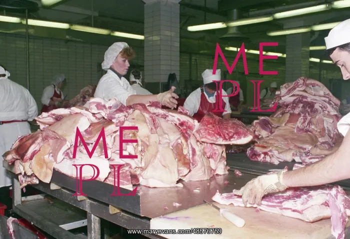: Cherkizovsky Meat Processing Plant : Cherkizovsky Meat Processing Plant
