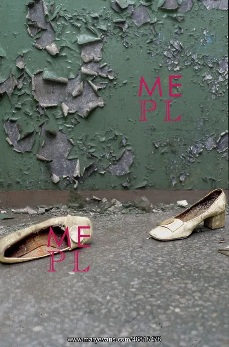: Chernobyl fallout - 1995 : Chernobyl fallout - 1995